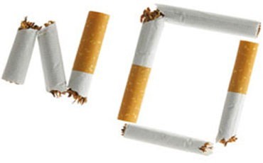 Отечество без дыма