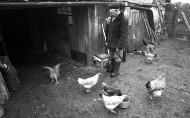 Госдума продлила сроки бесплатной приватизации и «дачной амнистии»