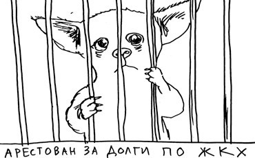 Арест тяпки