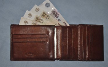 В России может появиться Агентство по выплате зарплат