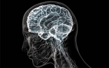 Логопедические и сантехнические услуги