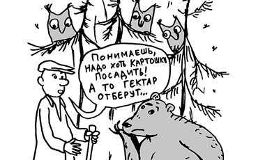 Декрет о земле снова принят