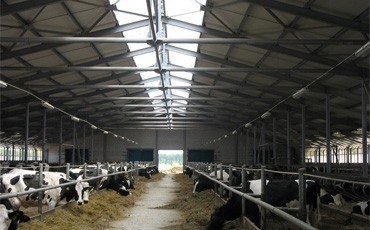 “Вельская” пишет Путину