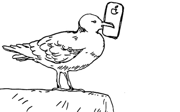 Байки из подвала. Выпуск № 23.16