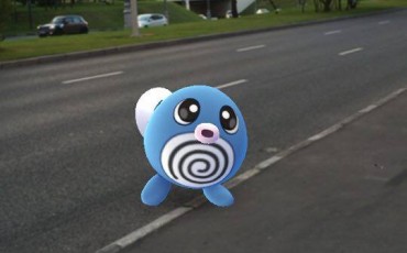 В Новосибирске открыта вакансия на должность тренера покемонов