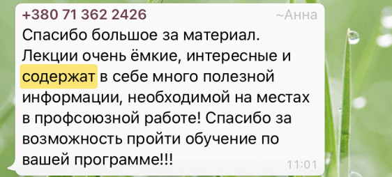 Онлайн-проект "ШКОЛА МОЛОДОГО ПРОФЛИДЕРА" Онлайн-проект "ШКОЛА МОЛОДОГО ПРОФЛИДЕРА"