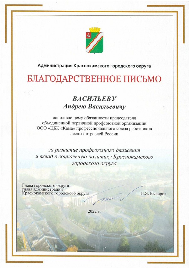 Васильев Андрей Васильевич Васильев Андрей Васильевич