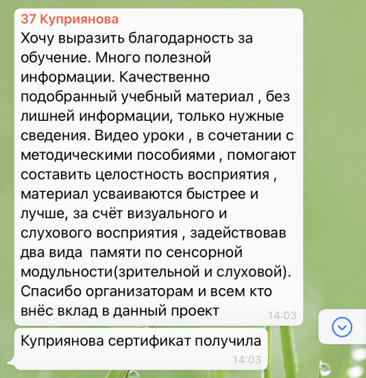 Онлайн-проект "ШКОЛА МОЛОДОГО ПРОФЛИДЕРА"