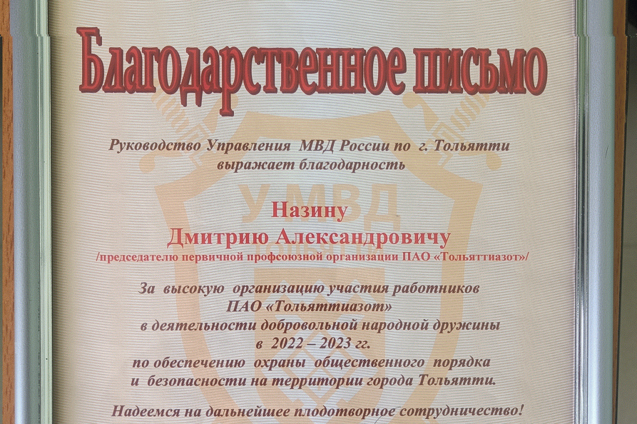 Назин Дмитрий Александрович Назин Дмитрий Александрович