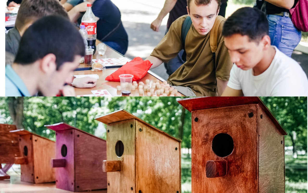 ФЕСТИВАЛЬ ИСКУССТВА И ЭКОЛОГИИ «ARTSKILL»