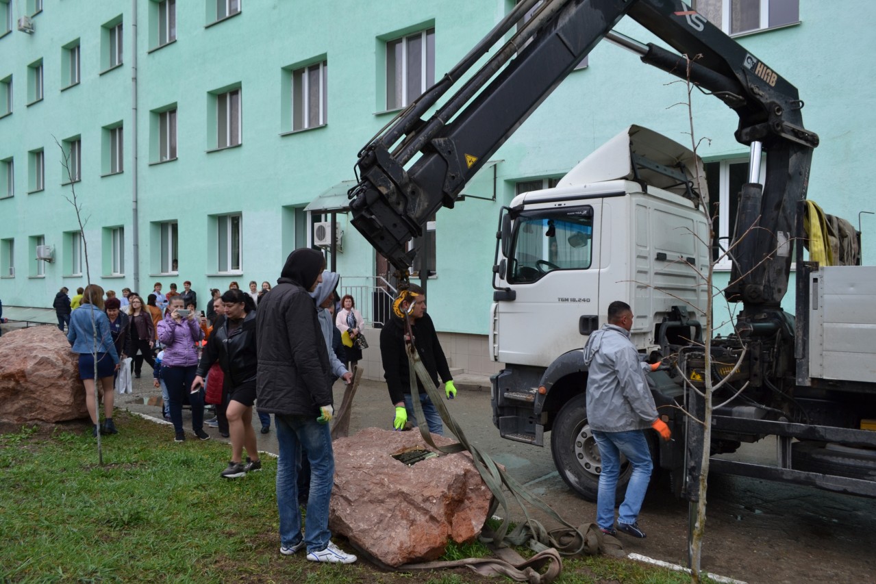 Акция "Посади дерево"