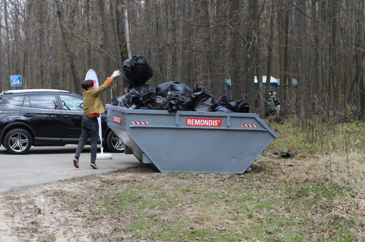 Чистые леса в  Республике  Мордовия