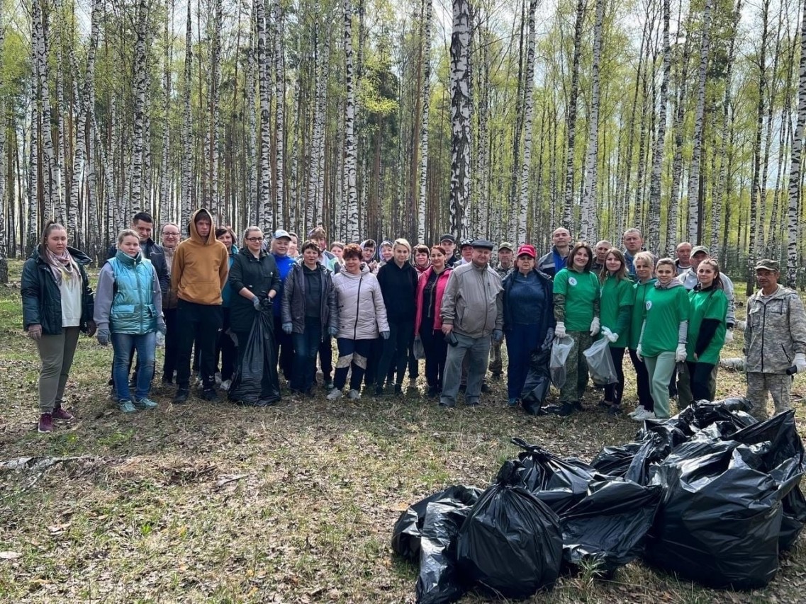 Чистые леса в  Республике  Мордовия