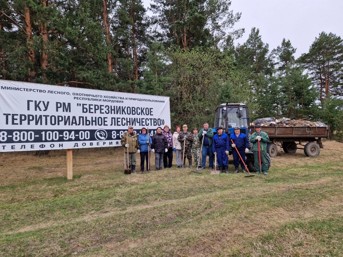 Чистые леса в  Республике  Мордовия