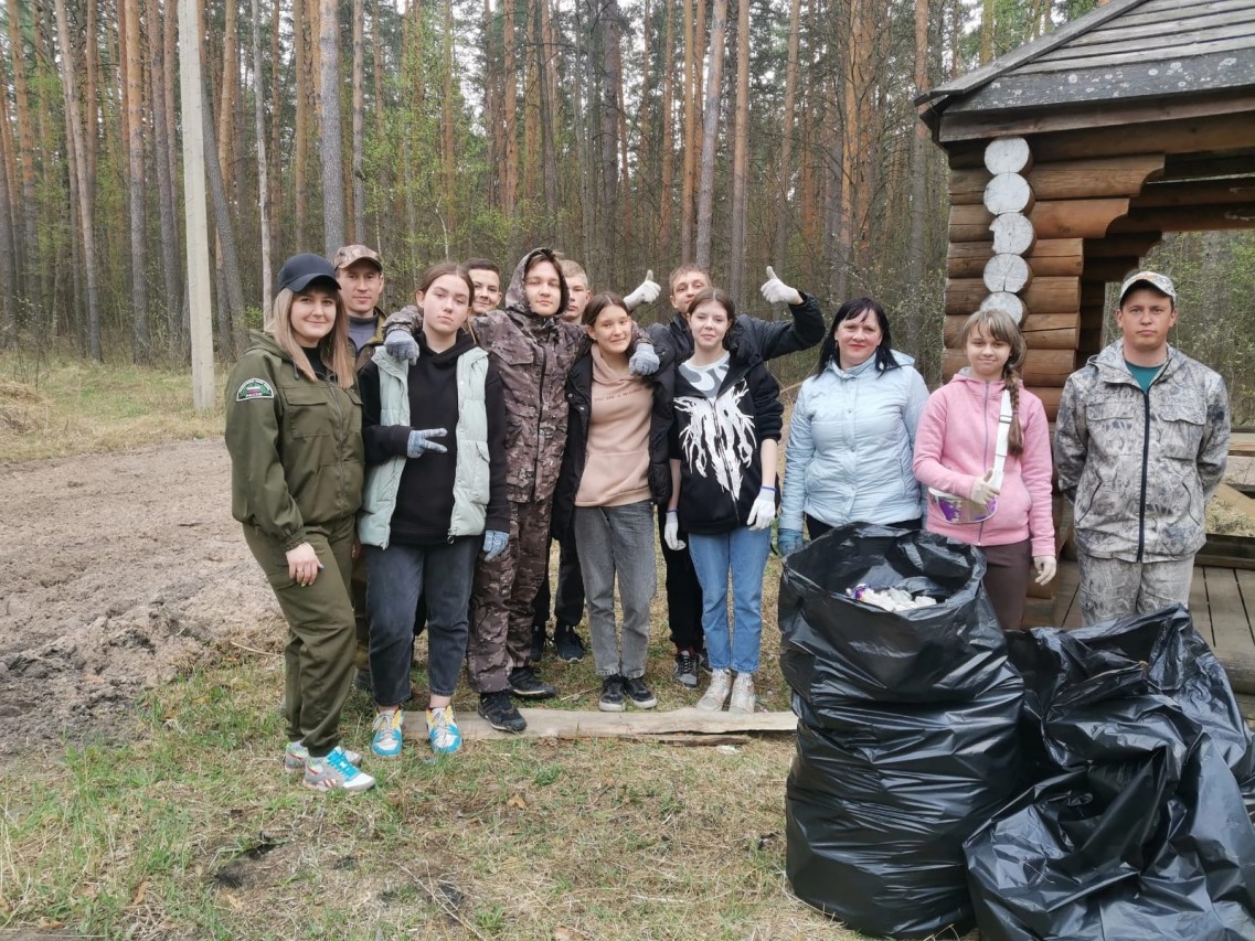 Чистые леса в  Республике  Мордовия