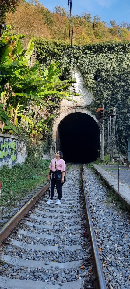 Николаева Вера Витальевна