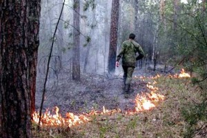 Пожары-2010: год спустя