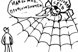 Попали в сети