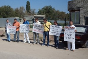 Пикет в камышах