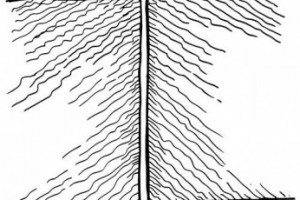 Арендатор использует подземные воды для личных нужд