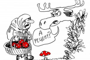 Все лекарства - по рецептам?